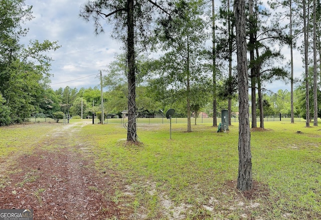 80 Hill Farm Rd, Alamo, GA 30411 - view of yard
