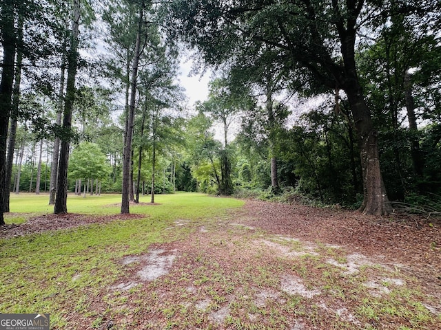 80 Hill Farm Rd, Alamo, GA 30411 - view of grassy yard