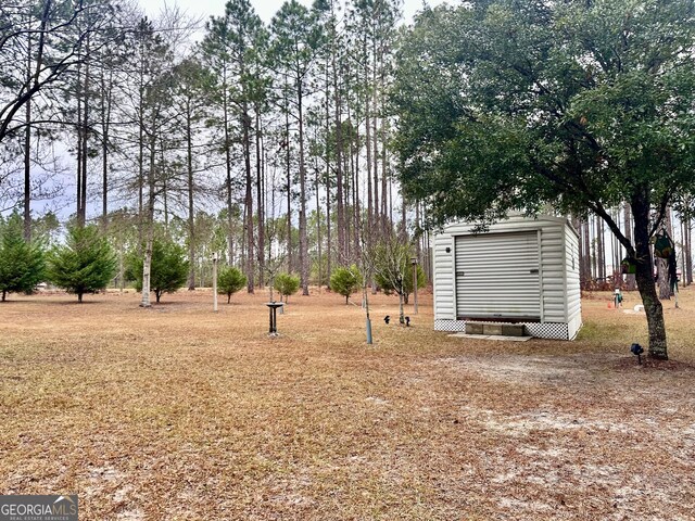 80 Hill Farm Rd, Alamo, GA 30411 - view of yard