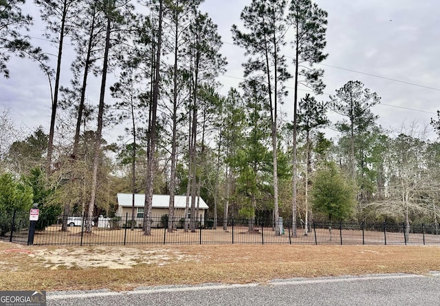 80 Hill Farm Rd, Alamo, GA 30411 - view of yard