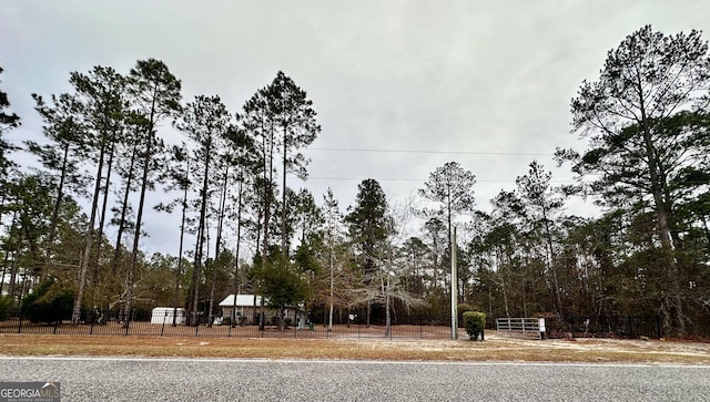 80 Hill Farm Rd, Alamo, GA 30411 - view of yard