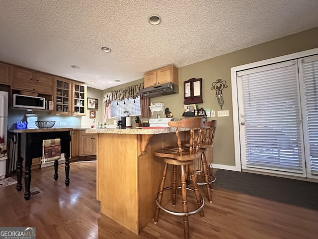 80 Hill Farm Rd, Alamo, GA 30411 - bar area featuring dark wood-type flooring, white microwave, under cabinet range hood, a textured ceiling, and a sink