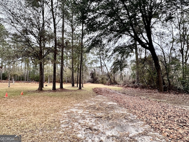 80 Hill Farm Rd, Alamo, GA 30411 - view of yard