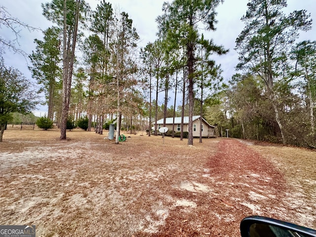 80 Hill Farm Rd, Alamo, GA 30411 - view of yard