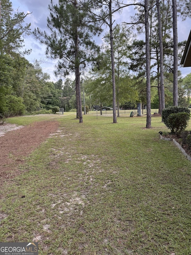 80 Hill Farm Rd, Alamo, GA 30411 - view of grassy yard