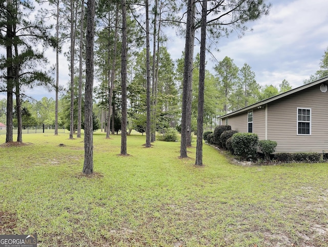 80 Hill Farm Rd, Alamo, GA 30411 - view of green lawn