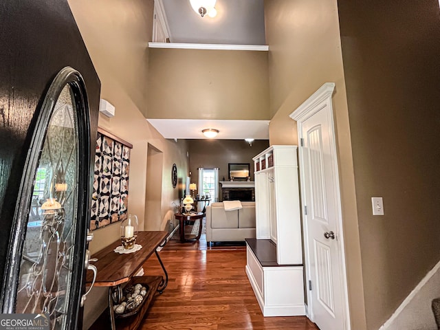 entryway featuring a towering ceiling and dark wood-style floors