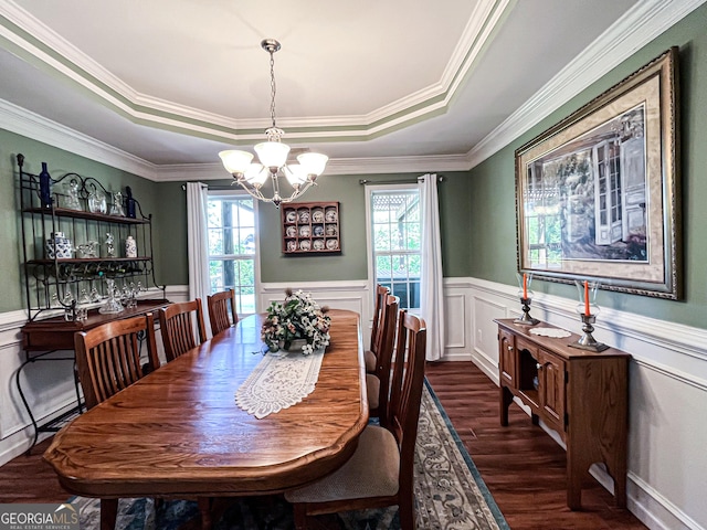 dining room with a wealth of natural light, a raised ceiling, a notable chandelier, and dark wood-style floors