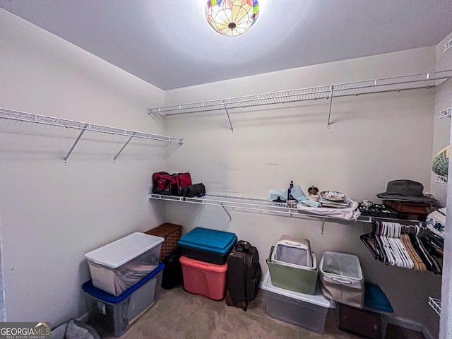 spacious closet featuring carpet