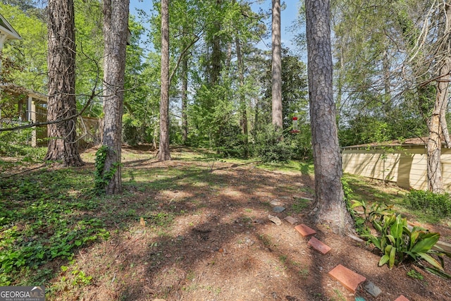 view of yard