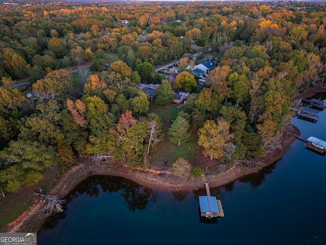 215 Cedar St, Anderson, SC 29626 - drone / aerial view featuring a wooded view and a water view