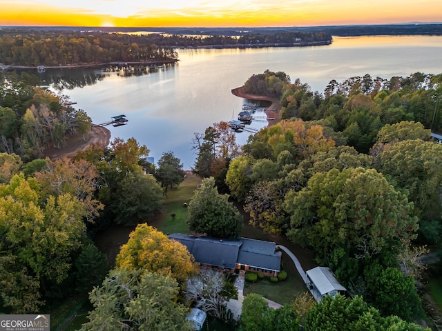 215 Cedar St, Anderson, SC 29626 - aerial view at dusk with a water view and a view of trees
