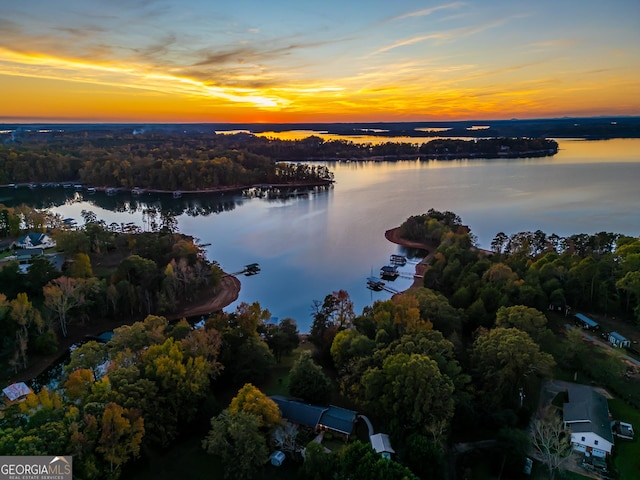 215 Cedar St, Anderson, SC 29626 - drone / aerial view featuring a water view and a forest view