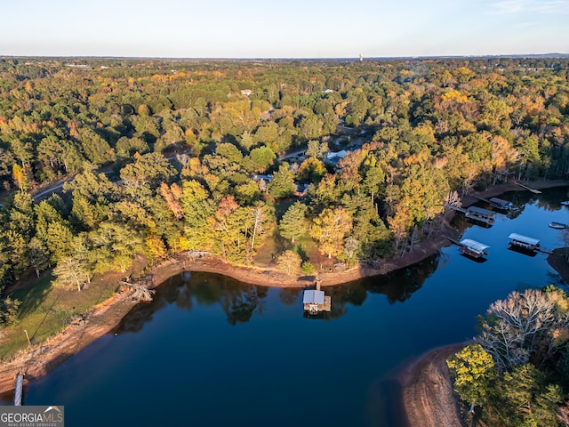 215 Cedar St, Anderson, SC 29626 - drone / aerial view with a water view and a forest view
