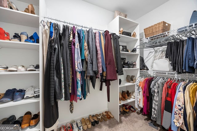 32 Winifred Way, Senoia, GA 30276 - spacious closet with carpet flooring