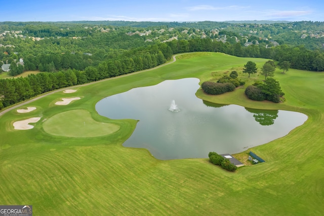 3105 Neal Ct, Cumming, GA 30041 - aerial view featuring a view of trees, golf course view, and a water view