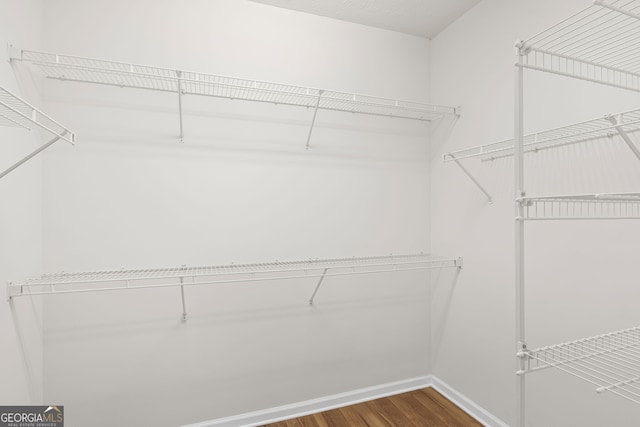 185 Cold Harbor Ct, Sharpsburg, GA 30277 - walk in closet with dark wood-type flooring