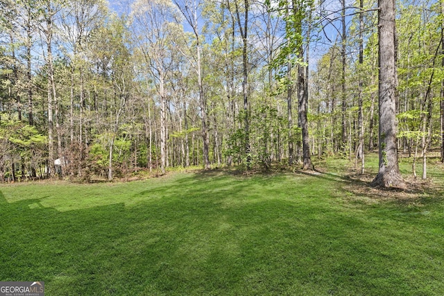 185 Cold Harbor Ct, Sharpsburg, GA 30277 - view of yard with a view of trees
