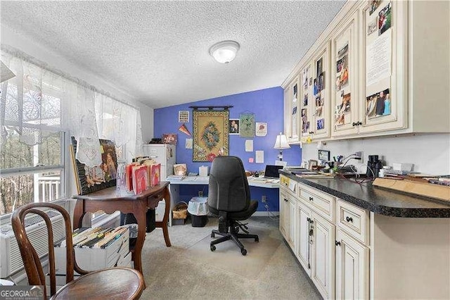 4941 N Helton Rd, Winston, GA 30187 - office area featuring a textured ceiling, light carpet, and lofted ceiling