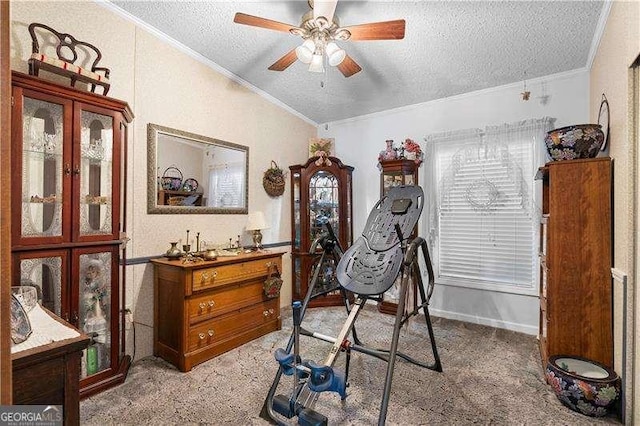 4941 N Helton Rd, Winston, GA 30187 - carpeted bedroom featuring ornamental molding, vaulted ceiling, and a textured ceiling