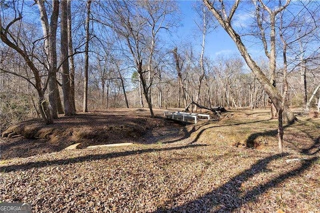 4941 N Helton Rd, Winston, GA 30187 - view of yard