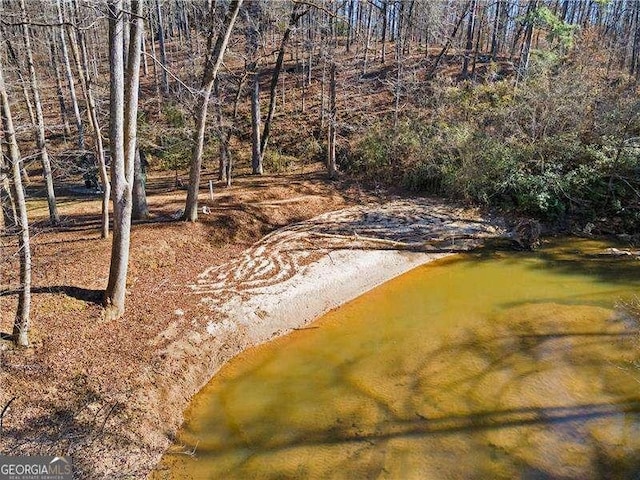 4941 N Helton Rd, Winston, GA 30187 - view of yard