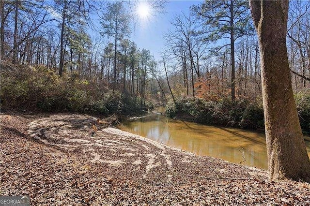 4941 N Helton Rd, Winston, GA 30187 - property view of water with a wooded view