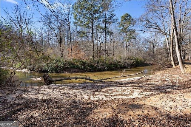 4941 N Helton Rd, Winston, GA 30187 - view of yard