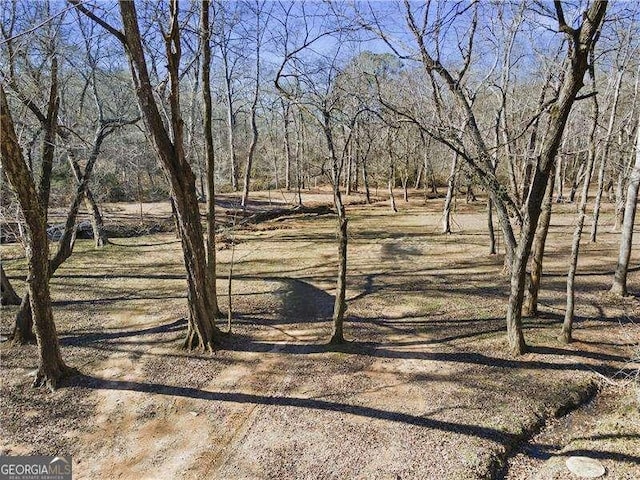4941 N Helton Rd, Winston, GA 30187 - view of yard