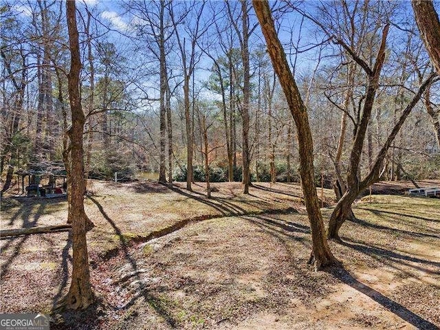 4941 N Helton Rd, Winston, GA 30187 - view of yard