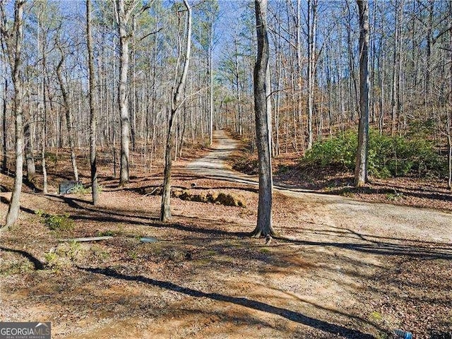 4941 N Helton Rd, Winston, GA 30187 - view of road featuring a forest view