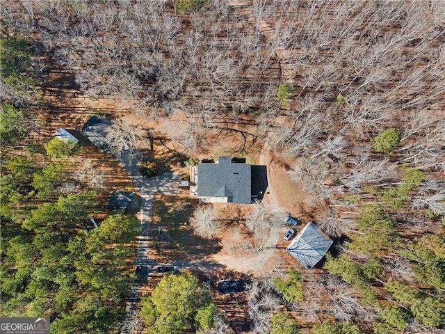 4941 N Helton Rd, Winston, GA 30187 - bird's eye view
