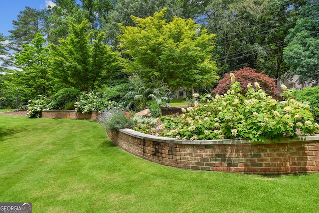 1155 Mcconnell Dr, Decatur, GA 30033 - view of yard