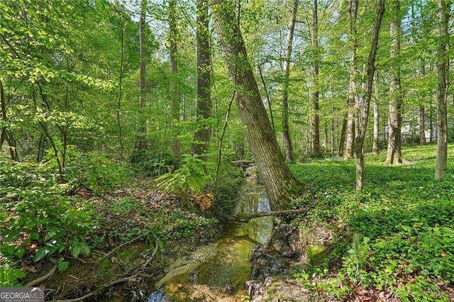 230 Oakmere Dr, Alpharetta, GA 30009 - view of nature with a forest view
