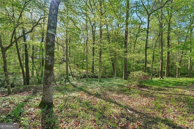 230 Oakmere Dr, Alpharetta, GA 30009 - view of local wilderness with a wooded view