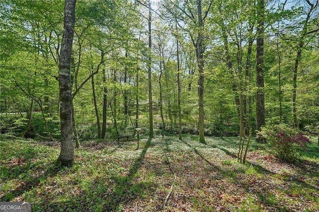 230 Oakmere Dr, Alpharetta, GA 30009 - view of landscape with a forest view