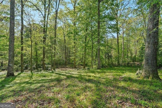 230 Oakmere Dr, Alpharetta, GA 30009 - view of nature with a wooded view