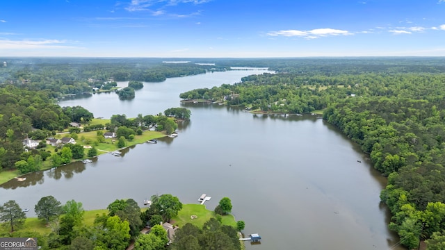 1001 Sugar Hill Way, Buckhead, GA 30625 - bird's eye view with a water view and a view of trees
