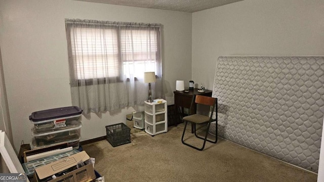 misc room with carpet flooring
