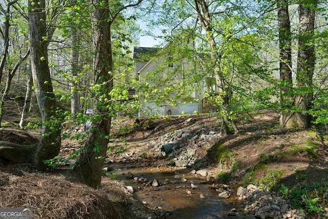 view of local wilderness