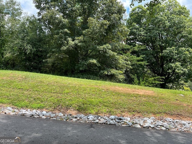 TR2 Meadow Rdg, Hayesville, NC 28904