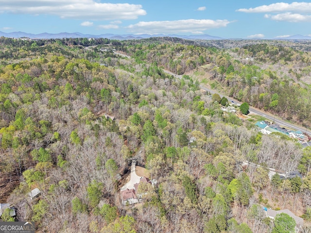 185 Starlight Dr, Dahlonega, GA 30533 - drone / aerial view with a wooded view and a mountain view