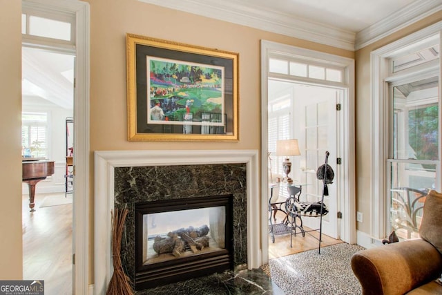 interior space with wood finished floors, a fireplace, and ornamental molding