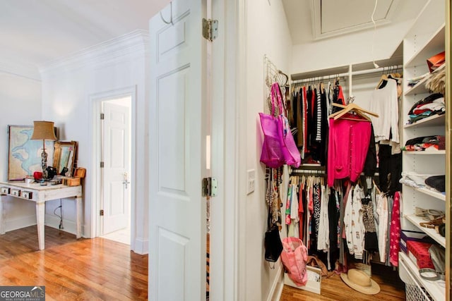spacious closet featuring wood finished floors