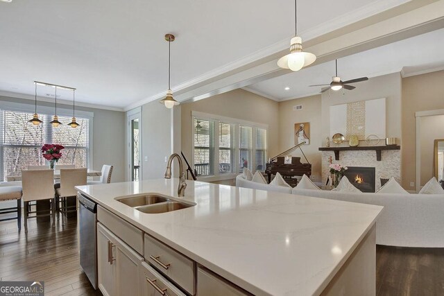 kitchen with a sink, dark wood-style floors, dishwasher, and a healthy amount of sunlight