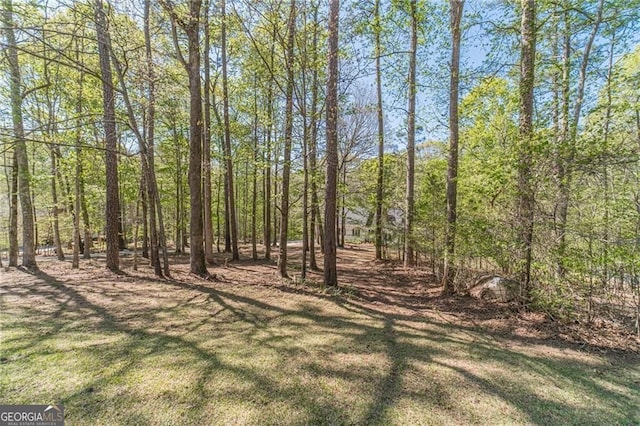 3775 Belle Glade Trl, Snellville, GA 30039 - view of yard