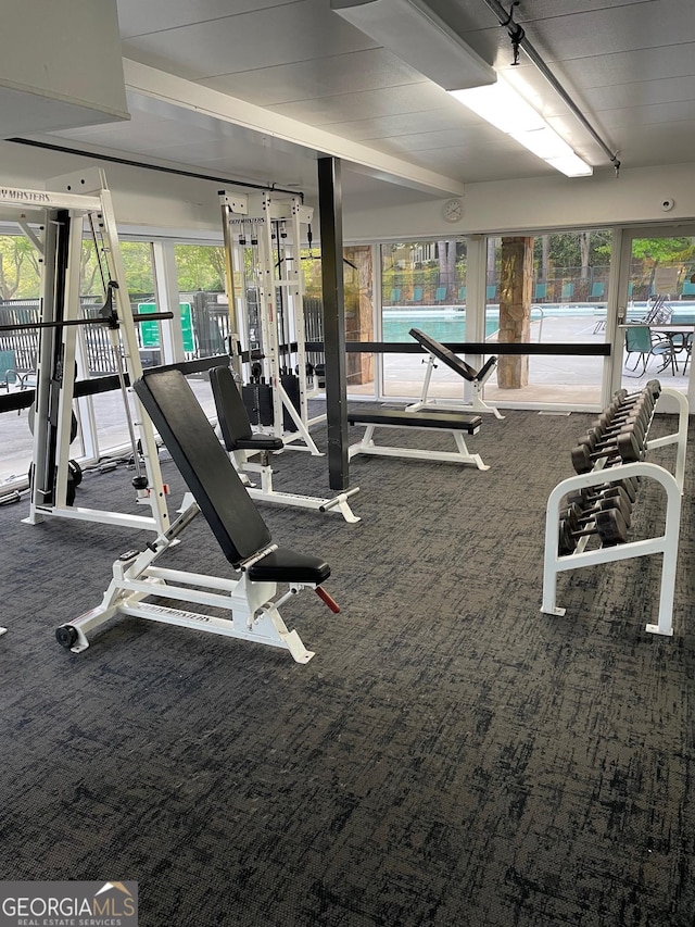 173 Amherst Pl NW, Atlanta, GA 30327 - workout area featuring carpet floors and a healthy amount of sunlight