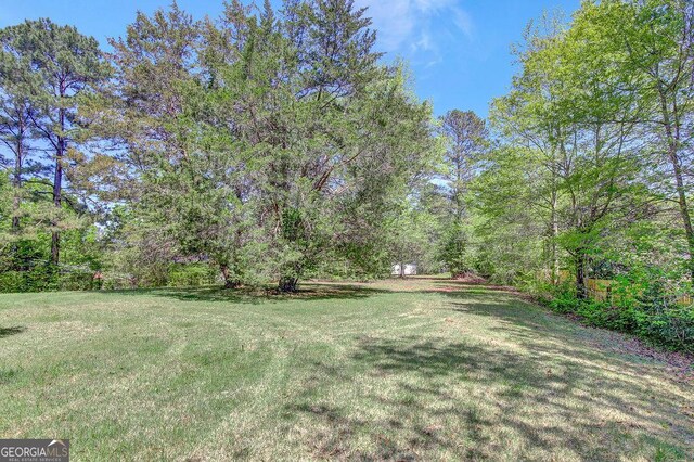 view of yard featuring a forest view