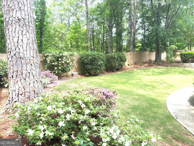 view of yard with a fenced backyard