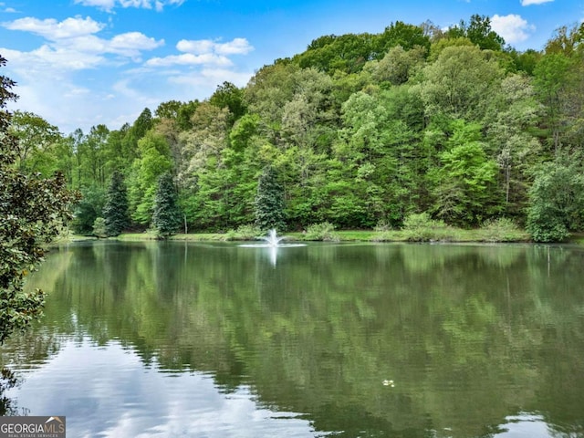 517 Monet Dr Unit 1144R, Ellijay, GA 30540 - water view featuring a heavily wooded area